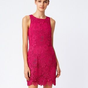 Nina Leonard Fuchsia Lace Dress